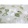 SANDNER Magnolia Kissen 40 x 40 cm