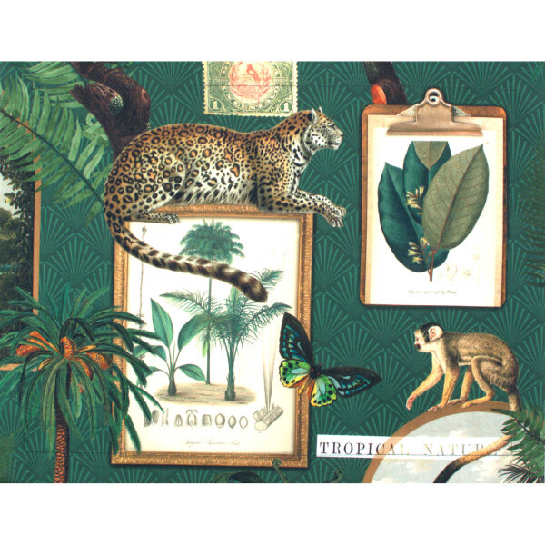 SANDNER Dschungel Tischset mit wilden Tieren