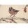 SANDNER Wintervögel Tischläufer 40 x 100 cm beige