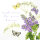 IHR Fiona Lunch-Servietten mit Flieder und Schmetterlingen