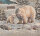 SANDNER Eisbären Gobelin-Tischläufer 38x100 cm