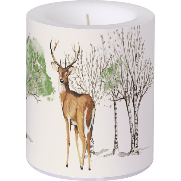 IHR Deer Grove Windlicht mit jungem Hirsch im Wald