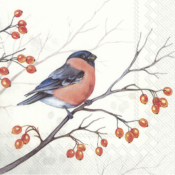 IHR DREAMING WINTER BIRD Lunch-Servietten 33 x 33 cm weiß