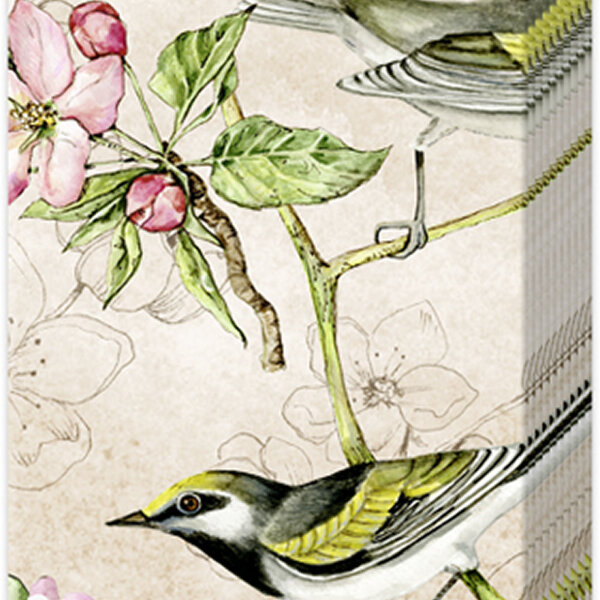 IHR BIRDS SYMPHONY Papiertaschentücher 21 x 21 cm creme